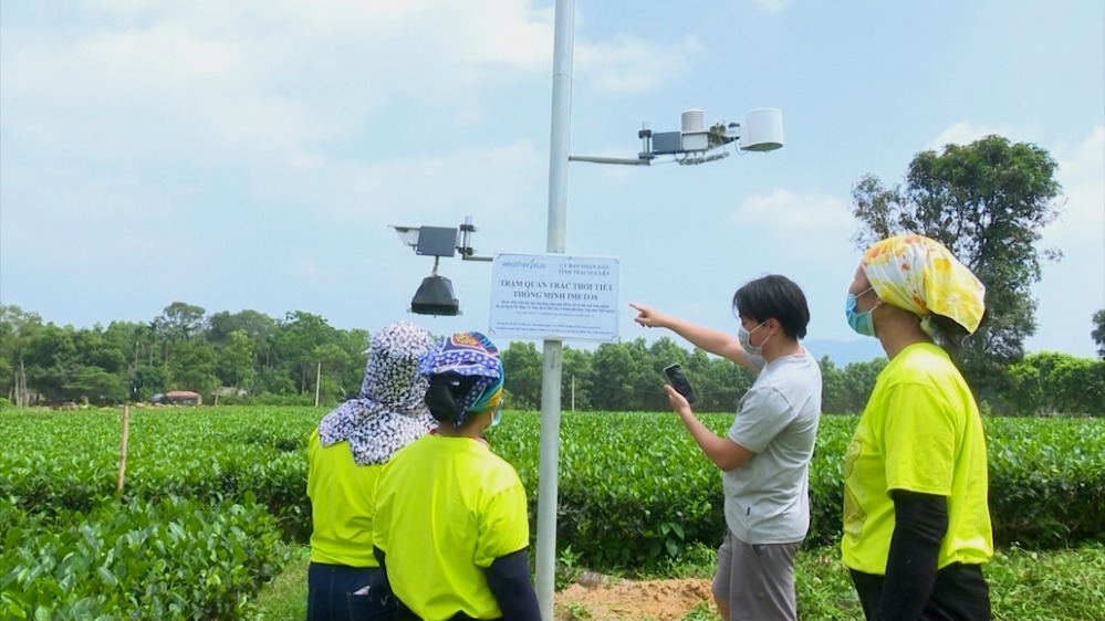 Chuyển đổi số có ý nghĩa quan trọng để phát triển kinh tế hợp tác, HTX trong thời kỳ 4.0 (Ảnh minh họa: Int)