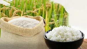 Giá lúa gạo hôm nay 4/8: Giá gạo giảm mạnh
