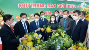 Xúc tiến thương mại mùa dịch, Bắc Giang tổ chức điểm cầu tại Trung Quốc