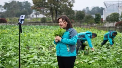 Bán hàng trên môi trường số: 'Chìa khóa vàng' giúp HTX vượt Covid-19