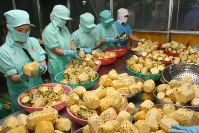 Kiều bào hiến kế đưa nông sản Việt vươn xa