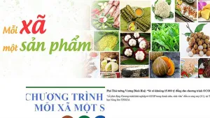 Chuyển đổi số: 'Cánh cửa' đưa sản phẩm HTX nâng sức cạnh tranh