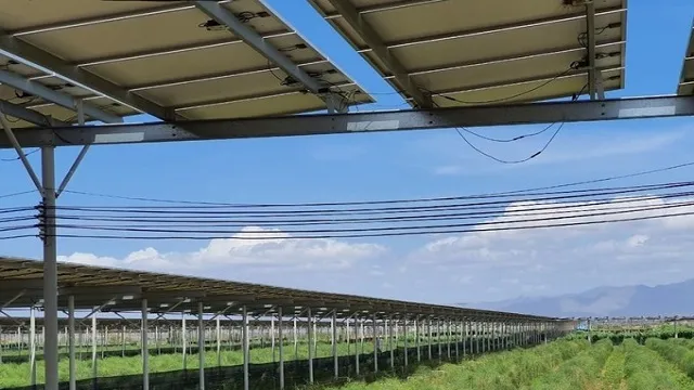 Nhiều vi phạm trong phát triển điện mặt trời mái nhà