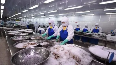 Mất cả tháng không xong được 'visa' xuất nông thủy sản sang Trung Quốc