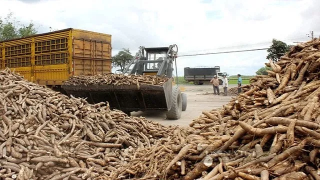Bộ Tài chính lên tiếng về loạt vướng mắc: Từ thực hiện giảm thuế VAT từ 10% xuống còn 8%, đến dừng hoàn thuế VAT xuất khẩu sắn