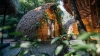 Các homestay ngắm mùa sen ở Ninh Bình