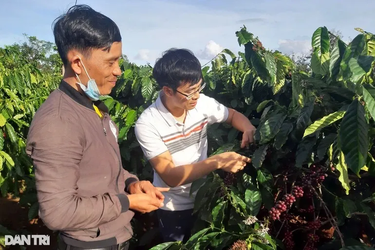 Gia Lai Các địa phương trong tỉnh đẩy mạnh tái đàn heo nhằm tăng nguồn cung cho thị trường