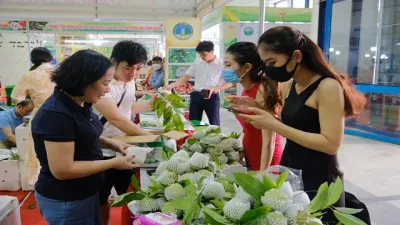 Khai mạc Tuần lễ na Lạng Sơn tại Thủ đô