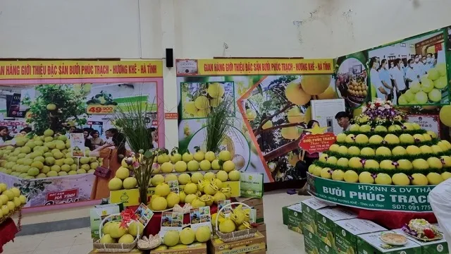 Thúc đẩy kết nối tiêu thụ bưởi Phúc Trạch trên sàn thương mại điện tử