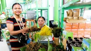 Lần đầu tiên tỉnh Lai Châu tổ chức hội chợ Sâm