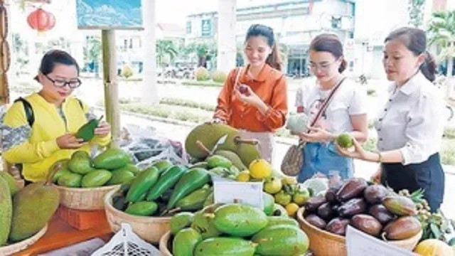 Xúc tiến thương mại: 'Bà mối' cho đầu ra của HTX