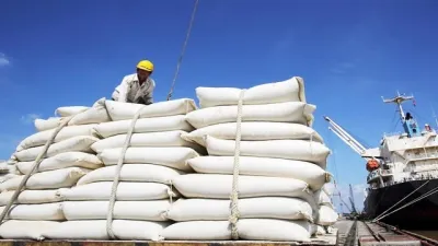 Một nước Đông Nam Á muốn mua 500.000 tấn gạo để dự trữ, cơ hội của Việt Nam