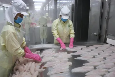 Một loài cá của Việt Nam được yêu thích số 1 ở Trung Quốc, Nhật Bản không thích cá nuôi cũng tăng mua