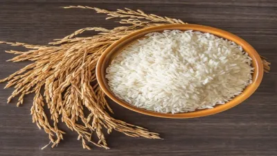 Gạo Việt dần vắng bóng tại thị trường Trung Quốc