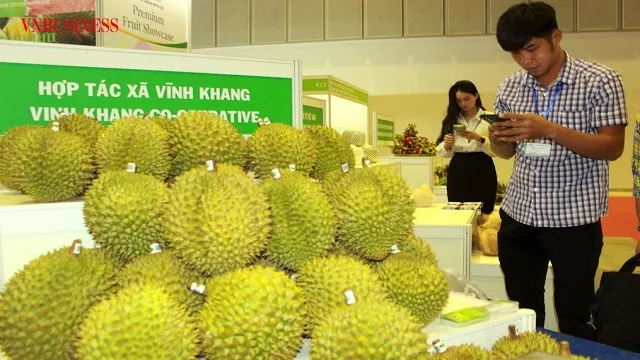 Xuất khẩu nông sản có ‘lội ngược dòng’ trong nửa cuối năm?