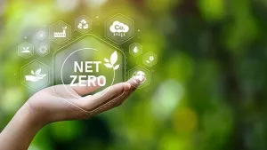 Net Zero là gì mà có thể khiến Vietjet Air, Vinamilk… chi rất nhiều tiền để chạy theo khái niệm mới mẻ này