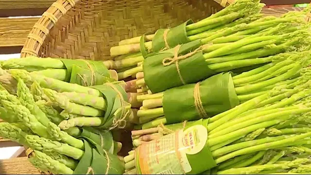 Hà Nội thúc đẩy tiêu dùng xanh