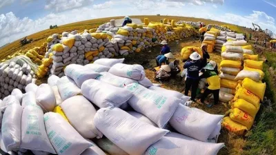 Trước thời cơ lớn của ngành lúa gạo, Bộ trưởng Bộ NN&PTNT khuyên cần ‘bình tĩnh’