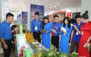 Tuổi trẻ Sơn La hỗ trợ nông dân quảng bá và tiêu thụ nông sản