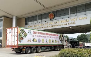Ưu tiên tối đa cho xuất khẩu sầu riêng qua cửa khẩu Lào Cai