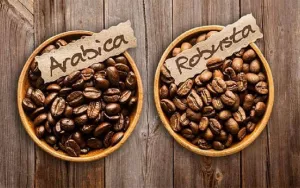 Doanh nghiệp Đài Loan cần tìm nhà cung ứng cà phê hạt