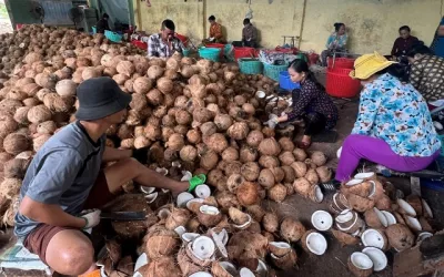 Nguy cơ HTX phá sản vì 'bỗng dưng' bị truy thu hàng trăm triệu tiền thuê đất