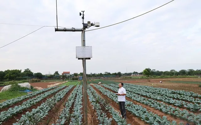 Chuyển đổi số trong sản xuất nông nghiệp ở Chương Mỹ