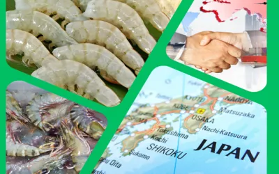Cần tìm kiếm doanh nghiệp xuất khẩu tôm sú của Việt Nam cho Doanh nghiệp Nhật Bản