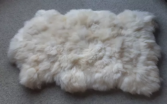 Doanh nghiệp New Zealand tìm kiếm đối tác nhập khẩu và sản xuất da cừu