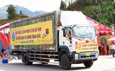 Việt Nam xuất khẩu lô tổ yến đầu tiên sang Trung Quốc