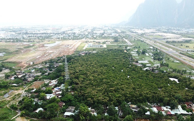 Rừng thiêng trong lòng phố ở Đà Nẵng, bà con không cho ai đụng vô