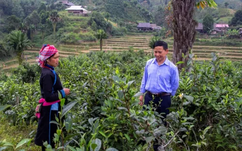 Lào Cai: Phát triển sản phẩm OCOP để tạo động lực xây dựng nông thôn mới