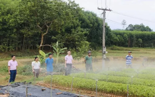 Nghệ An: Vốn chính sách tiếp sức cho Tân Kỳ giảm nghèo bền vững