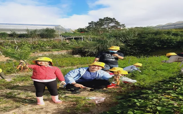 5 điểm đến Đà Lạt dành cho trẻ nhỏ