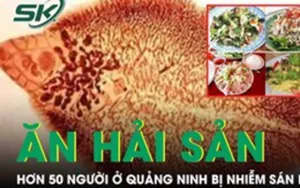 Hơn 50 người ở Quảng Ninh bị nhiễm sán lá gan nhỏ vì ăn hải sản sống