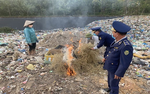 Quảng Ninh tiêu hủy vịt giống nhập lậu