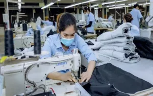 Nhiều nhà máy, cơ sở kinh doanh ở Hòa Bình tạo việc làm cho hàng nghìn lao động