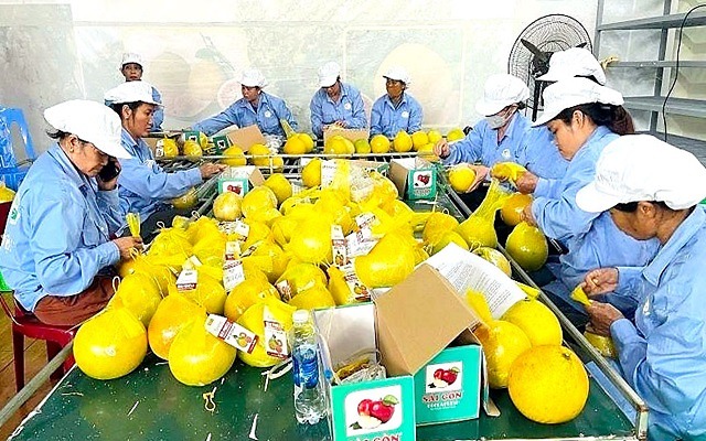 Hòa Bình hướng đến trung tâm ứng dụng nông nghiệp công nghệ cao