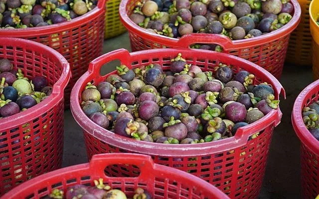 'Nữ hoàng trái cây' của Việt Nam được thị trường thế giới liên tục săn đón: xuất khẩu hàng trăm triệu USD, từng tạo hot trend không kém thanh long