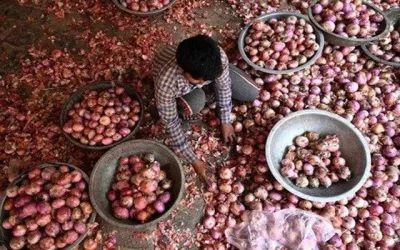 Loại củ bán đầy chợ Việt đang khiến cả châu Á chao đảo: giá tăng vọt sau lệnh cấm xuất khẩu của Ấn Độ, người buôn than vãn 'chẳng tìm được hàng để bán'