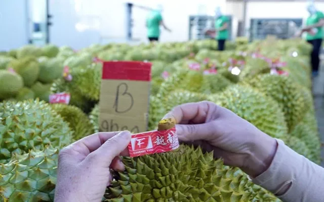 Cảnh giác với thông tin lừa đảo về giấy chứng nhận của Hải quan Trung Quốc