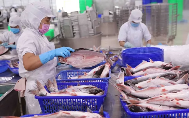Ngành cá tra đặt mục tiêu xuất khẩu 2 tỷ USD trong năm 2024