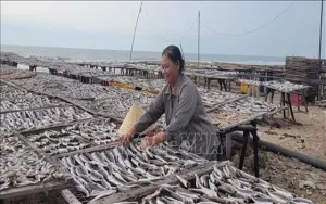 Hải sản khô 'trầm lắng' trước Tết