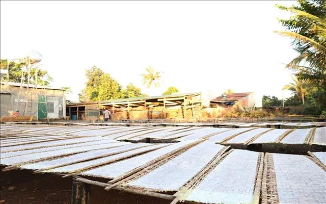 Làng nghề bánh tráng 'chạy' đơn hàng Tết