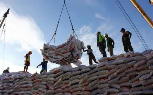 Indonesia nhập khẩu 500.000 tấn gạo từ Việt Nam và 6 nước khác