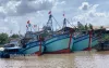 Bến Tre: Ưu tiên phát triển các ngành kinh tế biển thân thiện môi trường