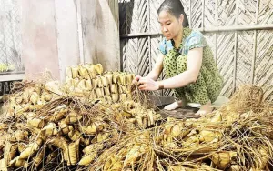 Lưu giữ nghề làm bánh dừa truyền thống
