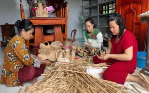 Tạo việc làm cho phụ nữ nông thôn từ nghề đan lục bình