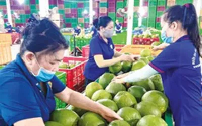 Trung Quốc tăng mạnh nhập khẩu hàng Việt Nam