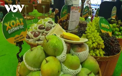 Xuất khẩu rau quả của Việt Nam sẽ lập kỷ lục mới?